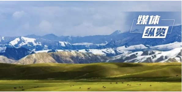 为中华民族永续发展筑牢法治根基 ——写在《中华人民共和国生态环境法典》诞生之际